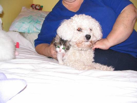 Riley and Abby Dec 2004 005.jpg